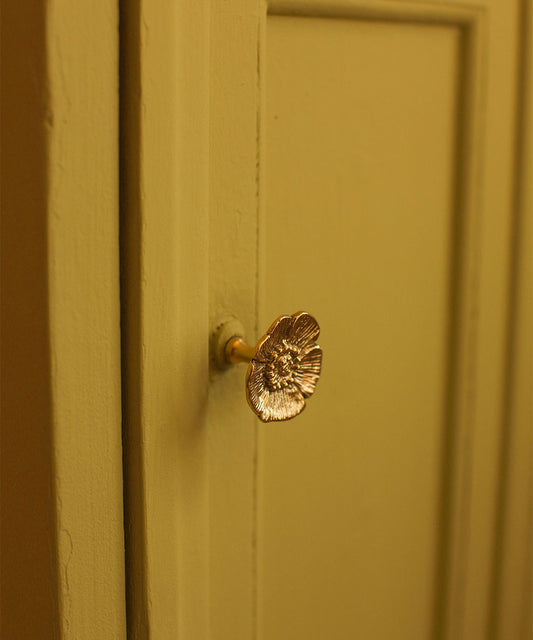 Bouton de porte laiton