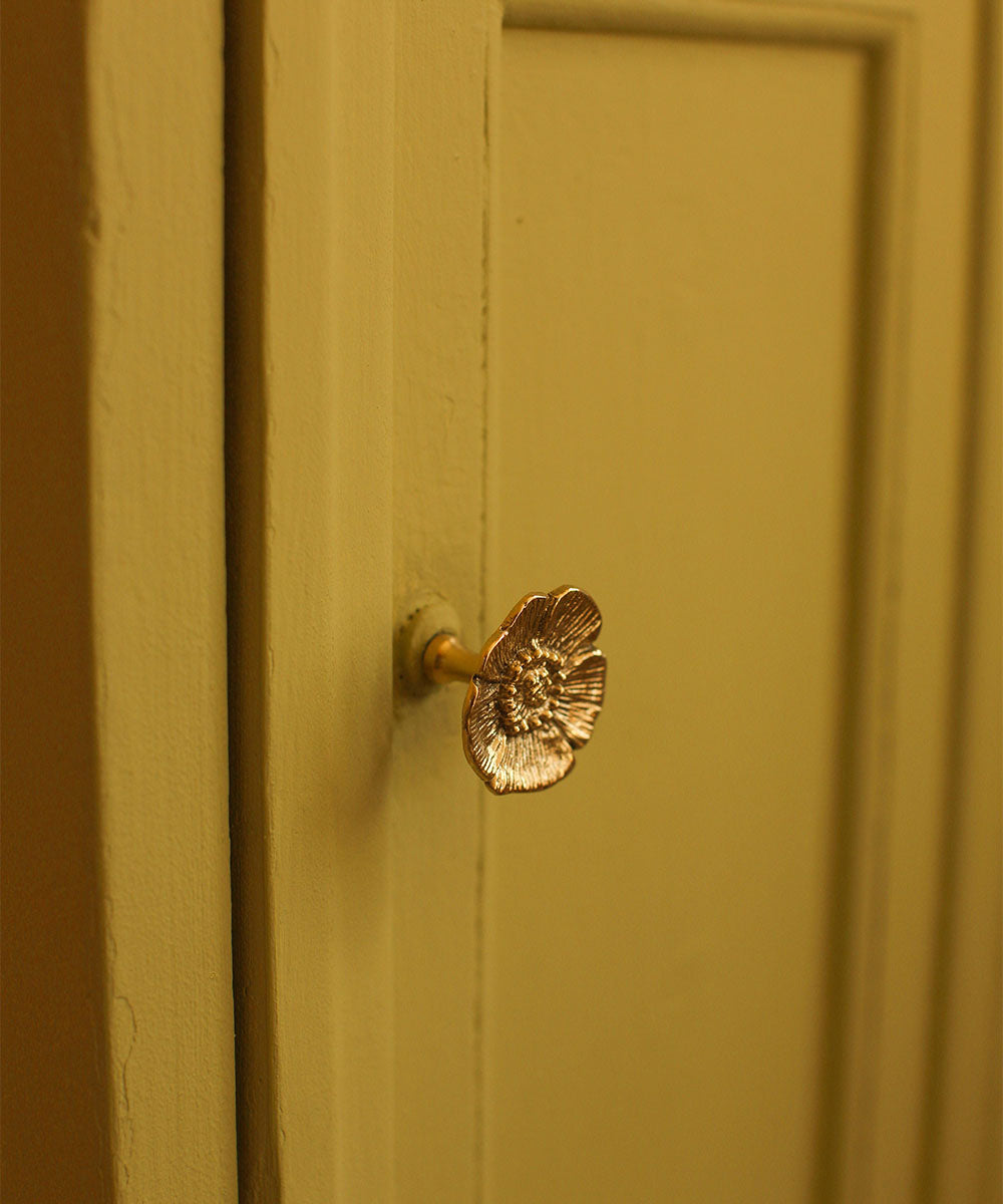 Bouton de porte laiton