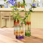 Vase multicolore