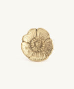 Bouton de porte laiton