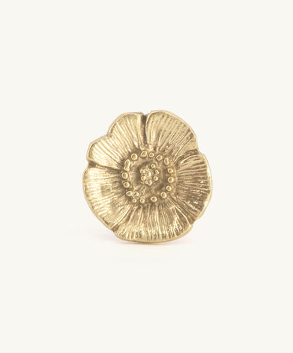 Bouton de porte laiton