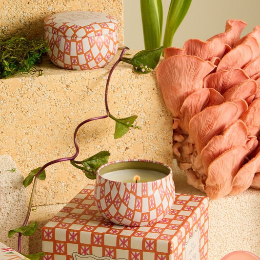 Petite bougie boite Tulip