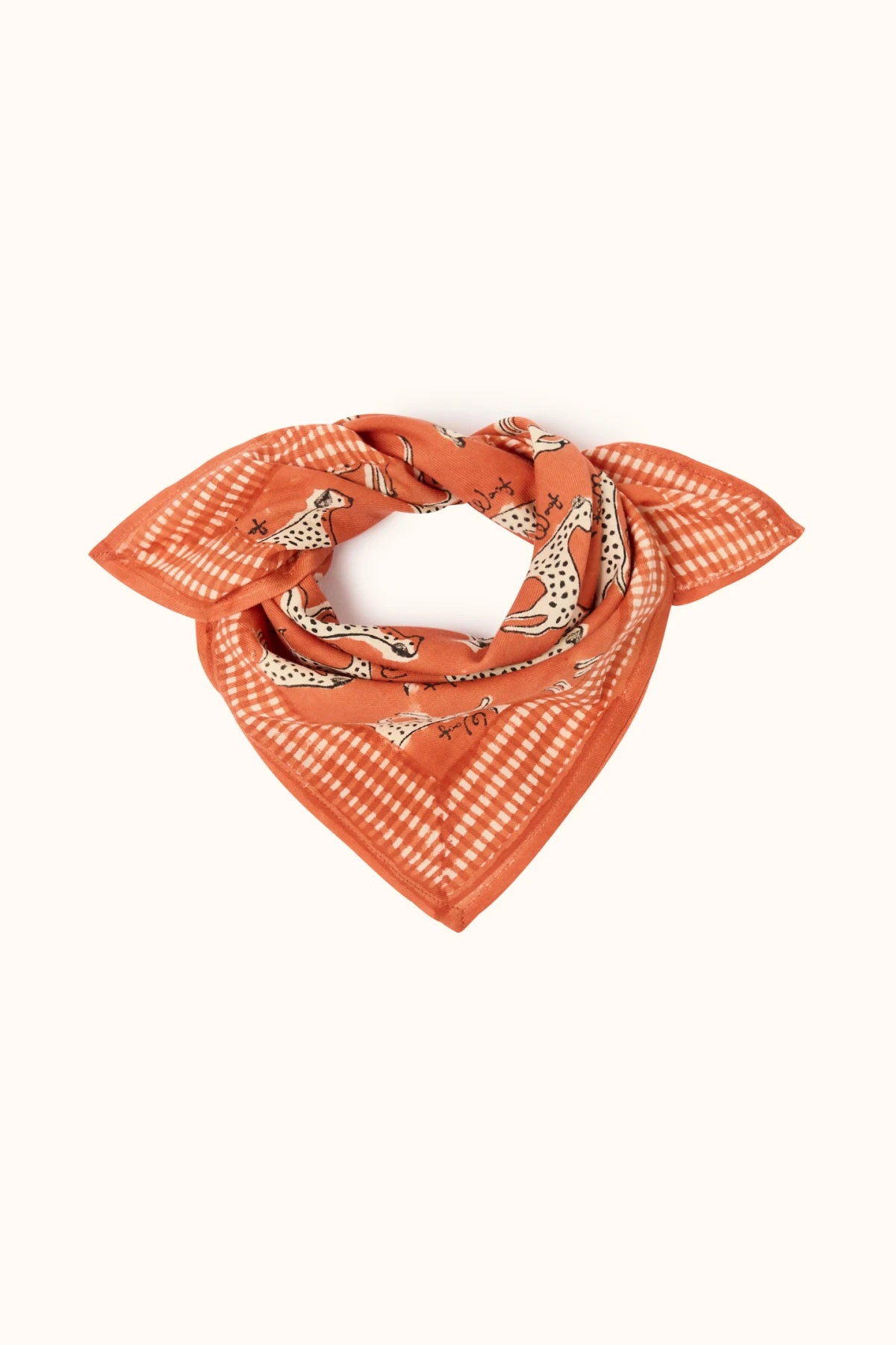 Petit foulard Apaches